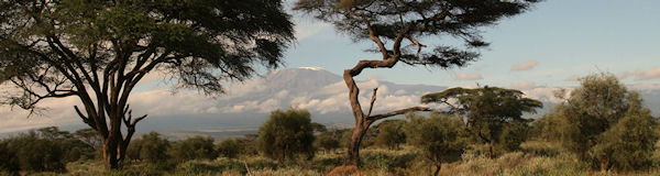 Amboseli nationaal park - Mount Klimanjaro