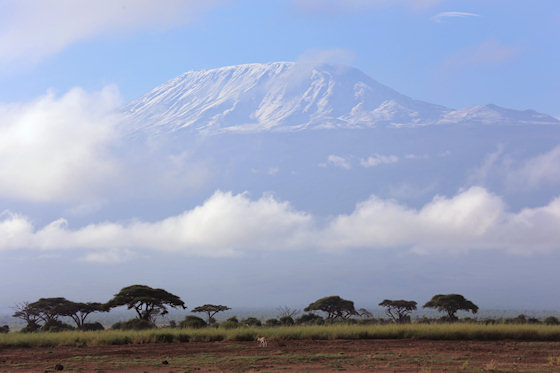 Amboseli - Mount Kilimanjaro