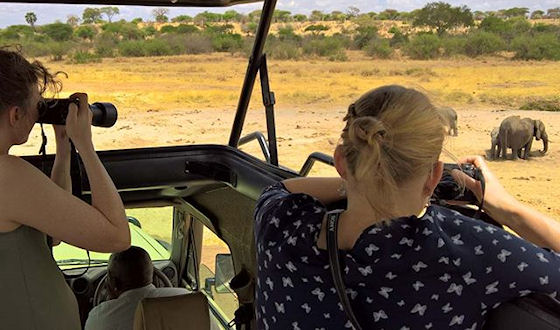 Familie safari Tanzania september 2017