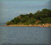 Island camp Baringo op ol kokwe island in Kenia