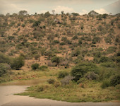 Loisaba Kiboko en Koija Starbeds is gelegen naast de Loisaba Wilderness op het laikipia plateau in Kenia