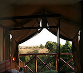 Fig Tree Camp is gelegen aan de oever van de Talek rivier aan de Noordelijke grens van het Masai Mara Game Reservaat