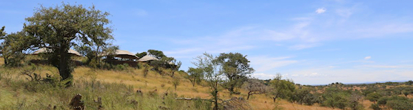 Serengeti Nationaal Park Tanzania