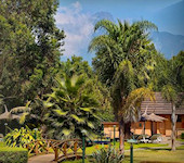 Arumeru River Lodge, Arusha Tanzania