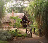 Rivertrees Country Inn, Arusha Nationaal Park Tanzania