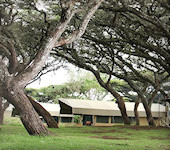 Lemala Tented Camp, Ngorongoro nationaal park Tanzania