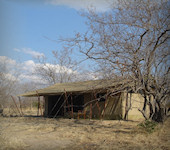 Kwihala Tented Camp, Ruaha nationaal park Tanzania
