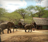 OnsKenia,Tarangire Safari Lodge tent accommodatie ip het Tarangire nationaal park Tanzania