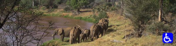 Rondreis aanbiedingen mindervalide safarireizen Kenia