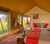 Elephant Pepper Camp - Masai Mara North Concervancy