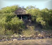 Island camp Baringo op ol kokwe island in Kenia