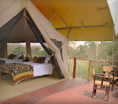 Olumara Camp in het noord westen van de Masai Mara Game Reservaat