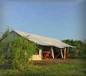 JK Mara Camp is een eco-vriendelijke klein permanent luxe tenten kamp, centraal gelegen in de Masai Mara aan de Talek rivier.