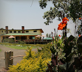 Tloma Lodge, Karatu Tanzania