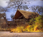 Jongmero Camp, Ruaha nationaal park Tanzania