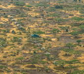 Angata Seronera Camp Noord-Serengeti Tanzania