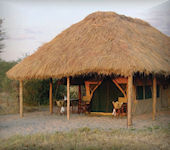 Whistling Thorn Camp safari tent accommodatie Tarangire nationaal park Tanzania