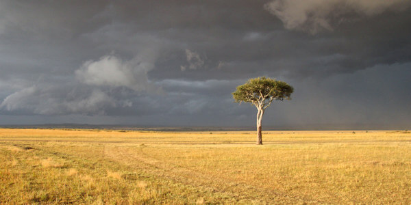 Kenia | Familie reizen | Prive safari reizen |  Masai Mara - Kenia  - juli 2022 | OnsKenia