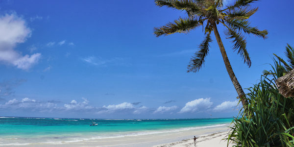 Kenia | Familie reizen | Prive safari reizen | Safari en Strand |  Diani Beach strand  - augustus 2022 | OnsKenia