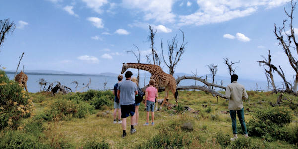 Kenia | Familie reizen | Safari en Strand |  Crescent eiland begeleide wandeling - juli 2023 | OnsKenia
