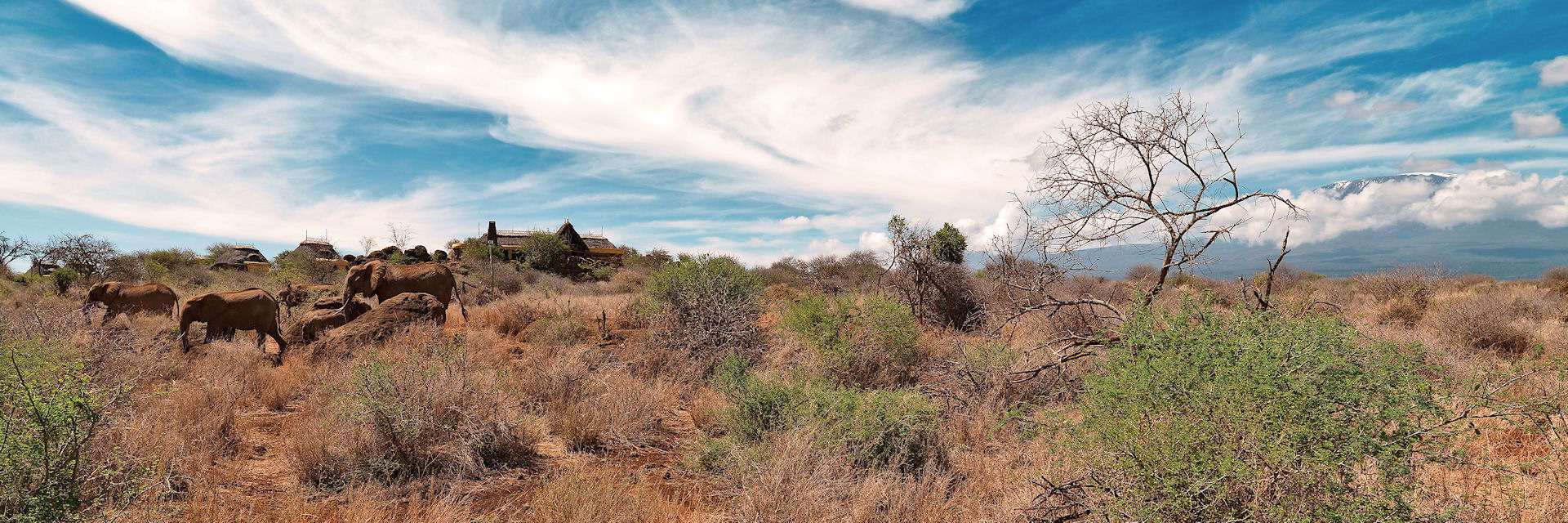 Satao Elerai een van de accommodaties in Amboseli NP 